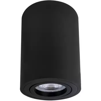 Накладной потолочный светильник Arte Lamp Sentry A1566PL-1BK