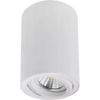 Накладной потолочный светильник Arte Lamp Sentry A1566PL-1WH