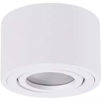 Накладной потолочный светильник влагостойкий светодиодный Arte Lamp Unito A0550PL-1WH