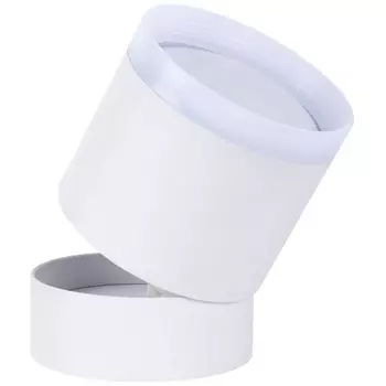 Накладной потолочный светильник Favourite Dixi 4709-1C