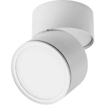 Накладной потолочный светильник влагостойкий светодиодный Lightstar Acuto 215886