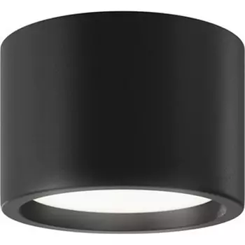 Накладной потолочный светильник влагостойкий светодиодный Maytoni Hydra C090CL-10W4K-B