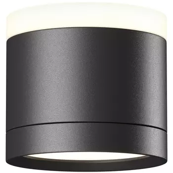 Накладной потолочный светильник Maytoni Pauline C120CL-GX53-B