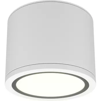 Накладной потолочный светильник влагостойкий Maytoni Rendo C095CL-GX53-W