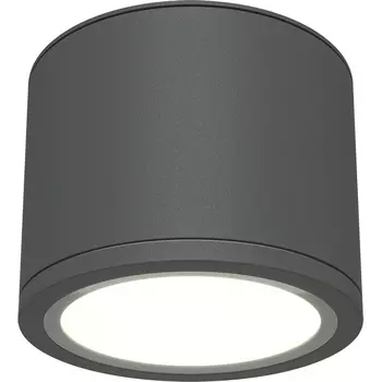 Накладной потолочный светильник влагостойкий Maytoni Rendo C095CL-GX53-GR