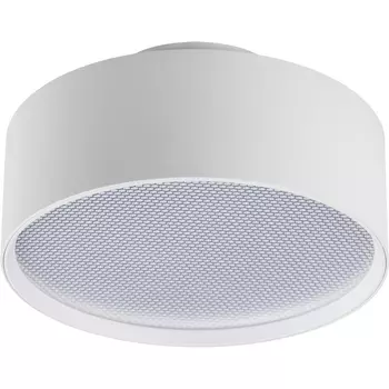 Накладной потолочный светильник светодиодный Lightstar Acuto 215946