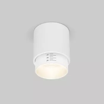 Накладной светильник светодиодный 10W белый Elektrostandard Cors 25032/LED