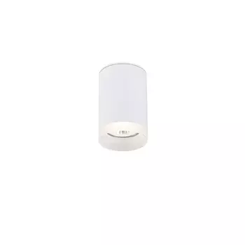 Накладной светильник Simple Story 2039 2039-1CLW