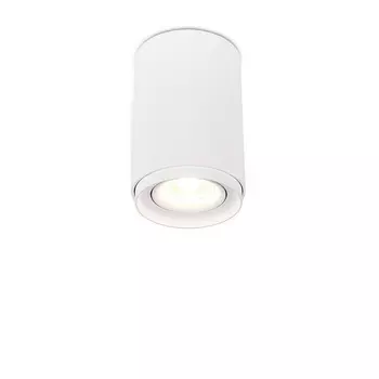 Накладной светильник Simple Story 2065 2065-1CLW