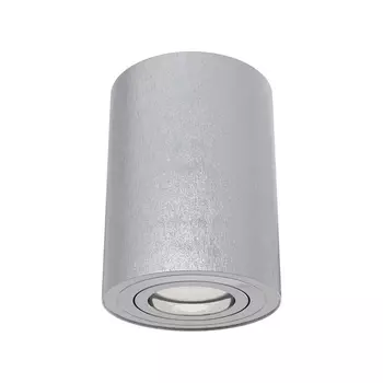 Накладной светильник Alfa C016CL-01S (Maytoni)