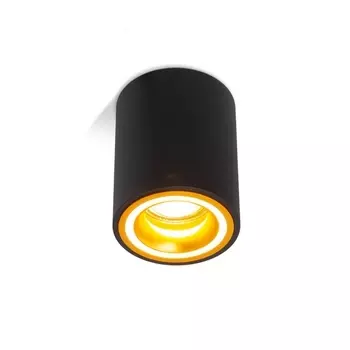 Накладной светильник Blick Black/Gold RAUMBERG Blick BlickBkGd Raumberg