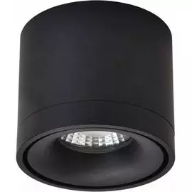 Накладной светильник Botten WE831.01.027 (Wertmark)