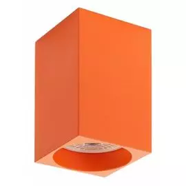 Накладной светильник DK2009-OR (Denkirs)