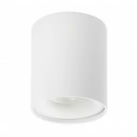 Накладной светильник DK2032-WH (Denkirs)