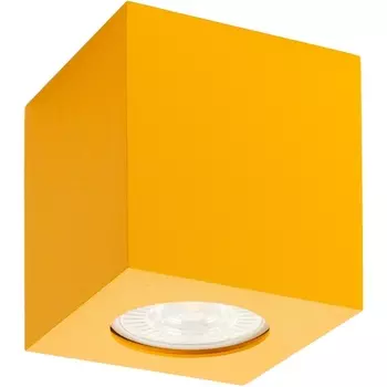 Накладной светильник Denkirs DK3010-YE