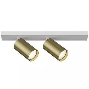 Накладной светильник Maytoni FOCUS S C051CL-2WBS