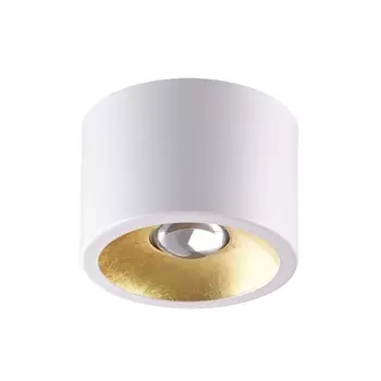 Накладной светильник Glasgow 3877/1CL (Odeon Light)