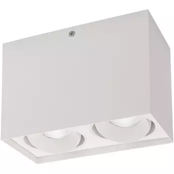 Накладной светильник LED SP-CUBUS-S100x200-2x11W Warm3000 (WH, 40 deg, 230V) (Arlight, IP20 Металл, 3 года) 023084(2)