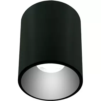 Накладной светильник Lightera Shamrock LE200CL-1B