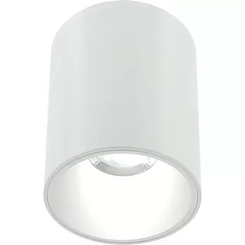 Накладной светильник Lightera Shamrock LE200CL-1W