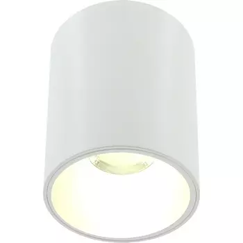 Накладной светильник светодиодный Lightera Shamrock LE201CL-1WA