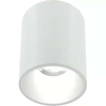 Накладной светильник светодиодный Lightera Shamrock LE201CL-1WB