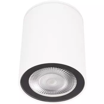 Накладной светильник Loft It Rush 10344 White