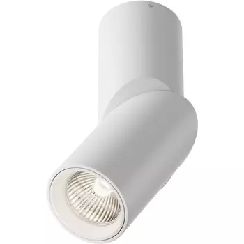 Накладной потолочный светильник Dafne 4000K 1x10Вт 38° LED Maytoni Technical C027CL-L10W4K