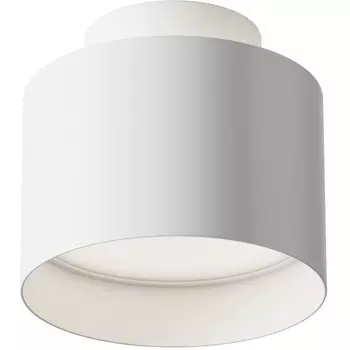 Накладной потолочный светильник Planet 4000K 1x12Вт 120° LED Maytoni Technical C009CW-L12W4K
