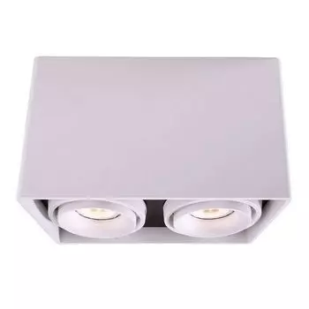 Накладной светильник Deko-Light Mona 348004