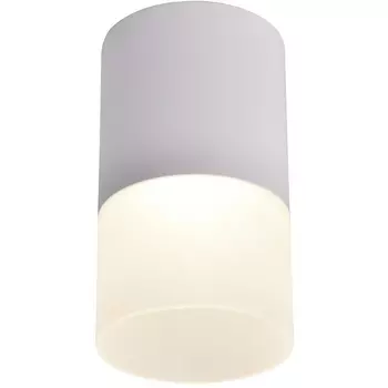 Накладной светильник светодиодный Favourite Naram 3069-1C