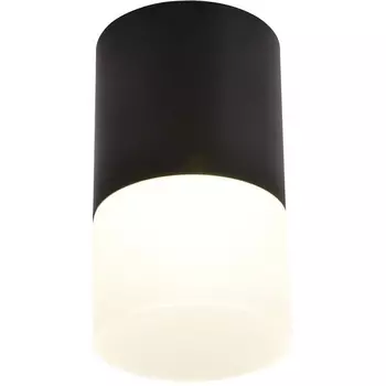 Накладной светильник светодиодный Favourite Naram 3070-1C