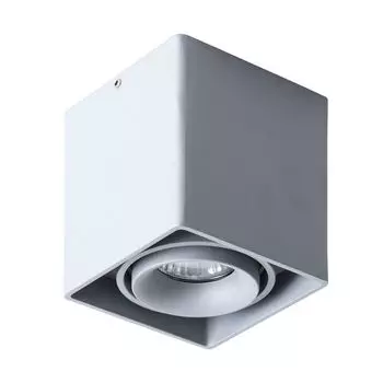 Накладной светильник Pictor A5654PL-1GY (Artelamp)