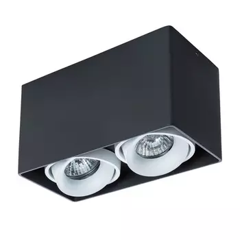 Накладной светильник Pictor A5654PL-2BK (Artelamp)