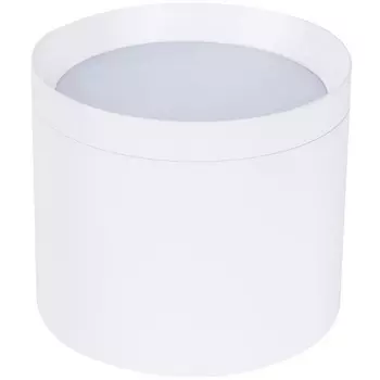 Накладной светильник потолочный Favourite Rote 4708-1C