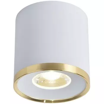 Накладной светильник светодиодный Favourite Prakash 3085-2C