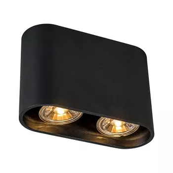 Накладной светильник Ronduo Sl Zumaline ACGU10-063