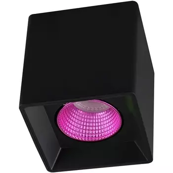 Накладной светильник светодиодный DK3080-BK+PI (Denkirs)