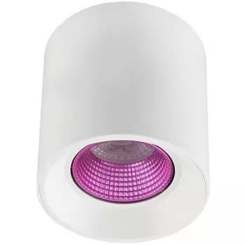 Накладной светильник светодиодный Denkirs DK3090-WH+PI