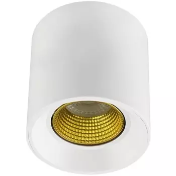 Накладной светильник светодиодный Denkirs DK3090-WH+YE