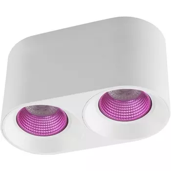 Накладной светильник светодиодный Denkirs DK3096-WH+PI