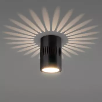 Накладной светильник светодиодный Elektrostandard DLS026