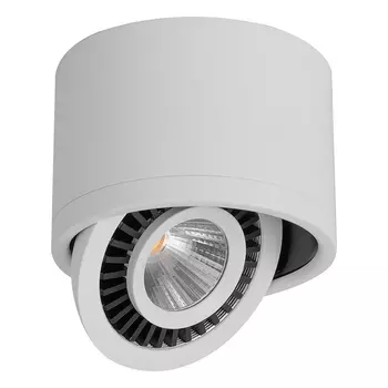 Накладной светильник светодиодный Feron 32701