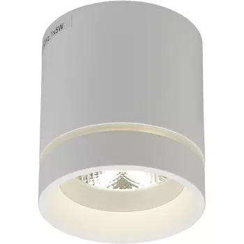 Накладной светильник светодиодный Aployt Gita APL.0044.09.05