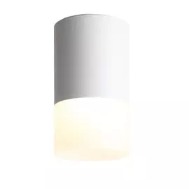 Накладной светильник светодиодный ST Luce Ottu ST100.502.05