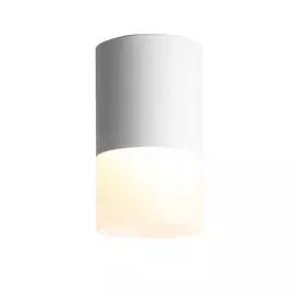 Накладной светильник светодиодный Ottu ST100.542.10 (ST Luce)