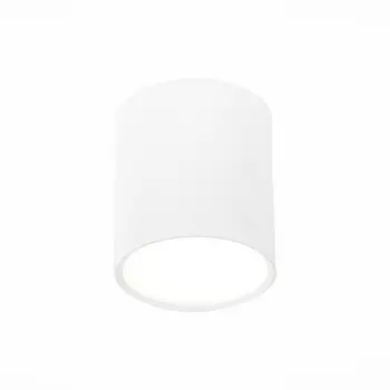 Накладной светильник светодиодный ST Luce Rene ST113.542.05