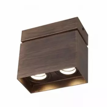 Накладной светильник светодиодный Favourite Retro 2794-2U