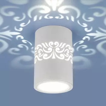 Накладной светильник светодиодный с подсветкой Elektrostandard DLS025