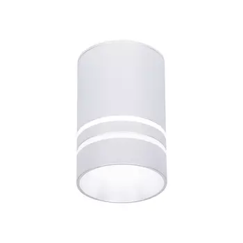 Накладной светильник светодиодный Ambrella Techno Spot TN236